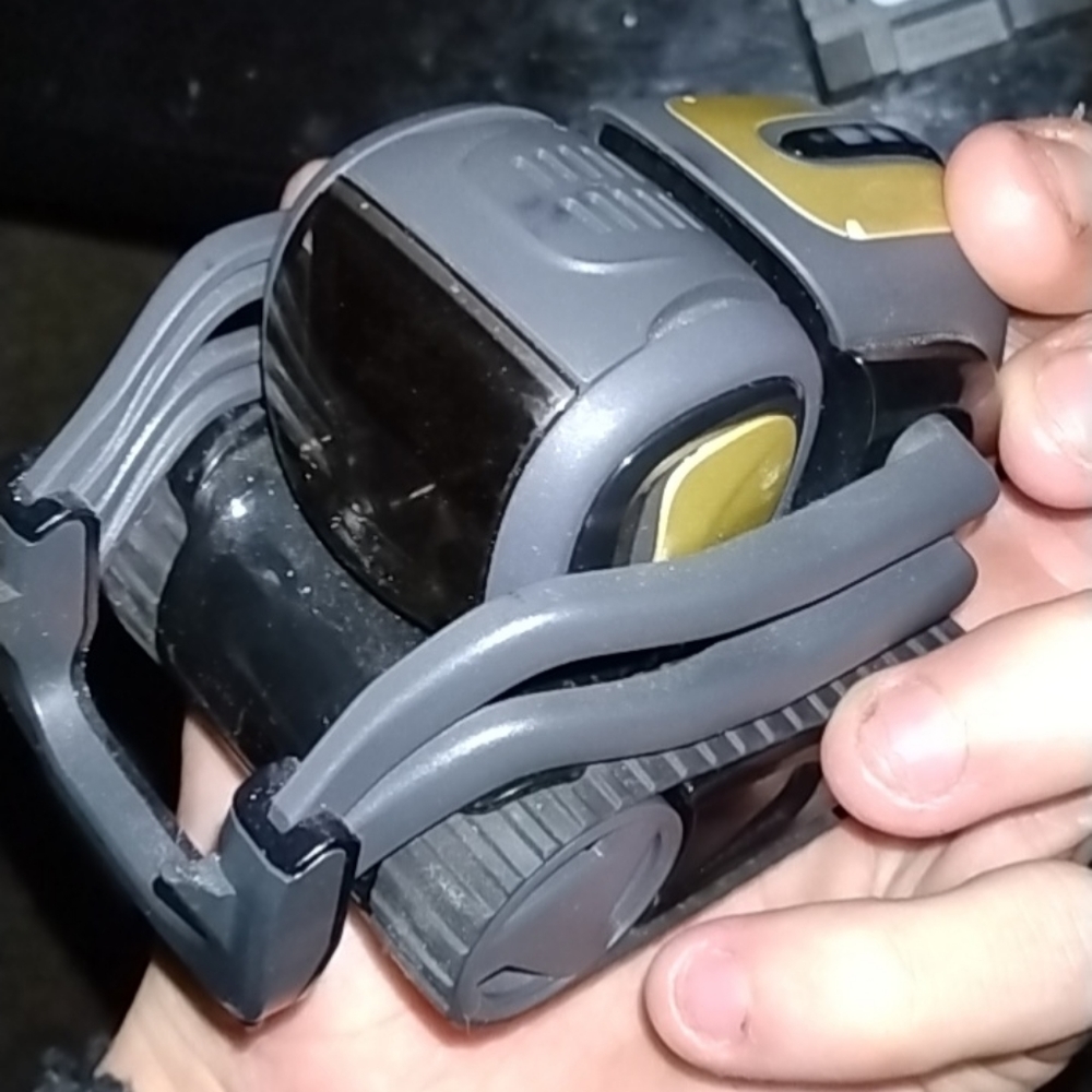 Anki Vector robot